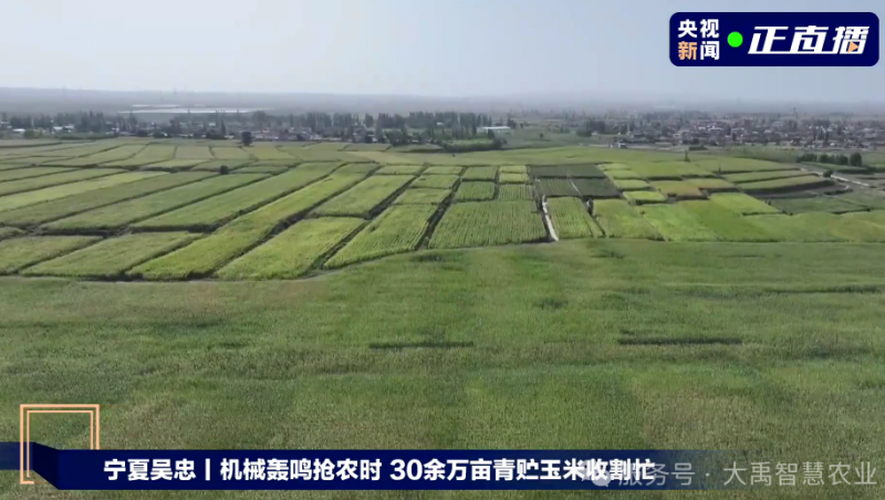 媒体聚焦 | 大禹节水以智慧农业技术，为 30 万亩青贮玉米丰收 “添动力”